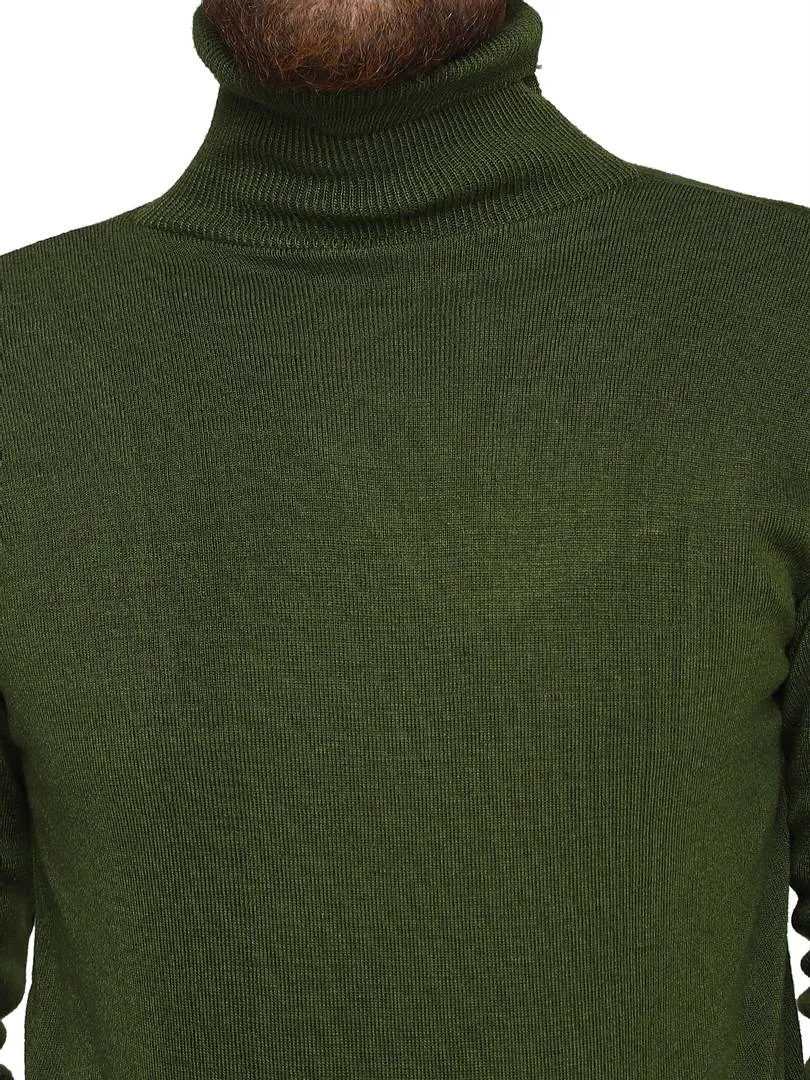 Solid Green Synthetic Long Sleeves Turtle Neck  Sweaters